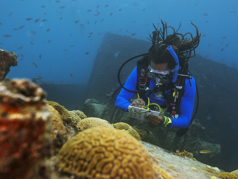 PADI Divemaster Course