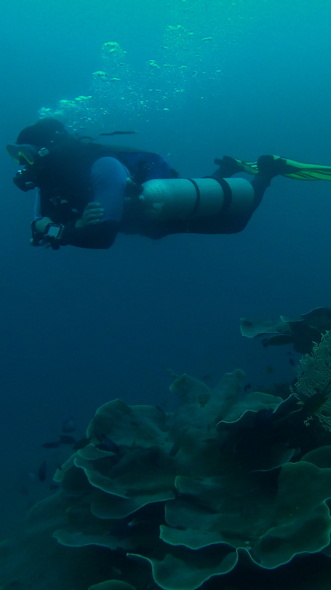 Sidemount for life