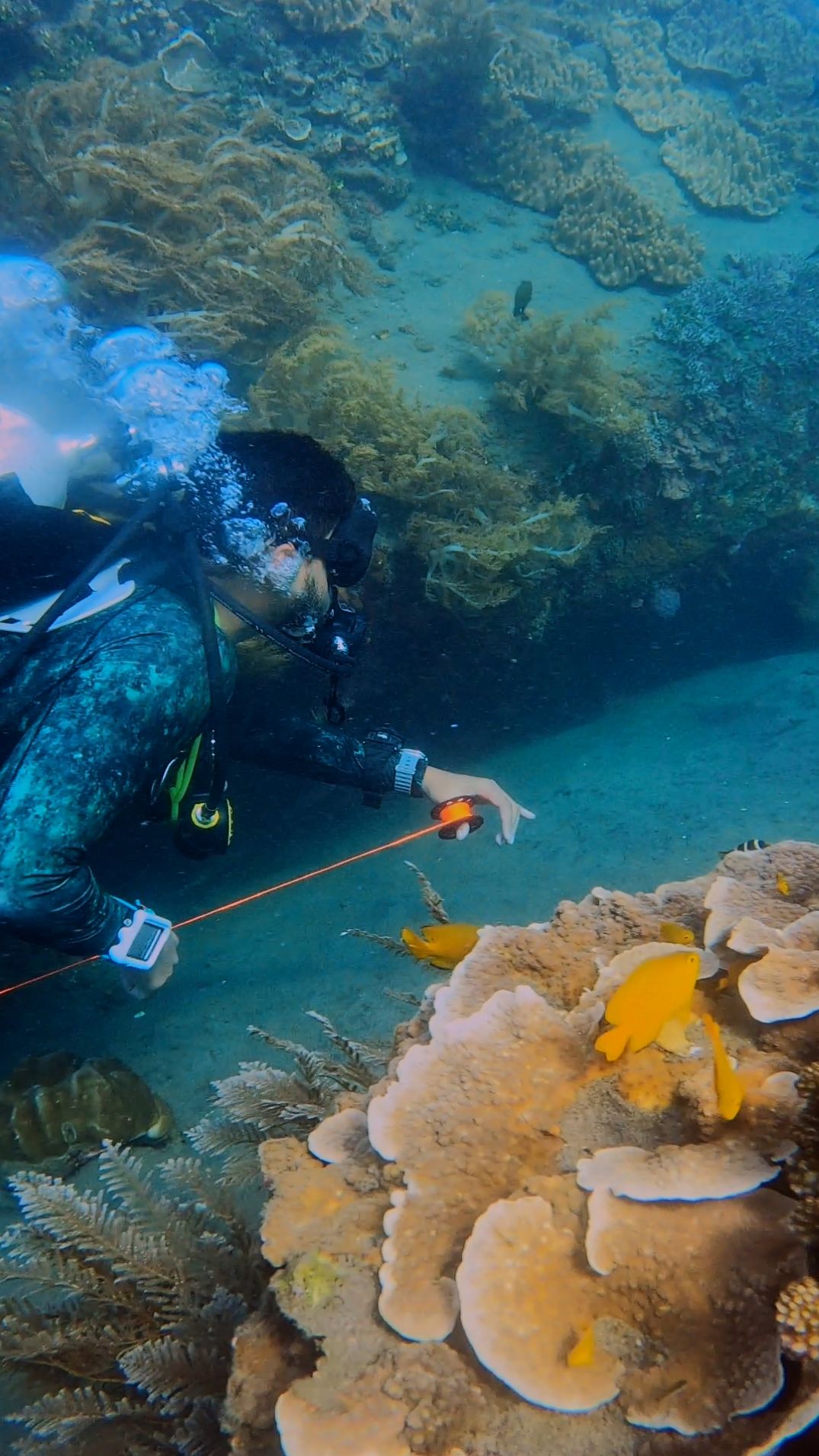 Divemaster training