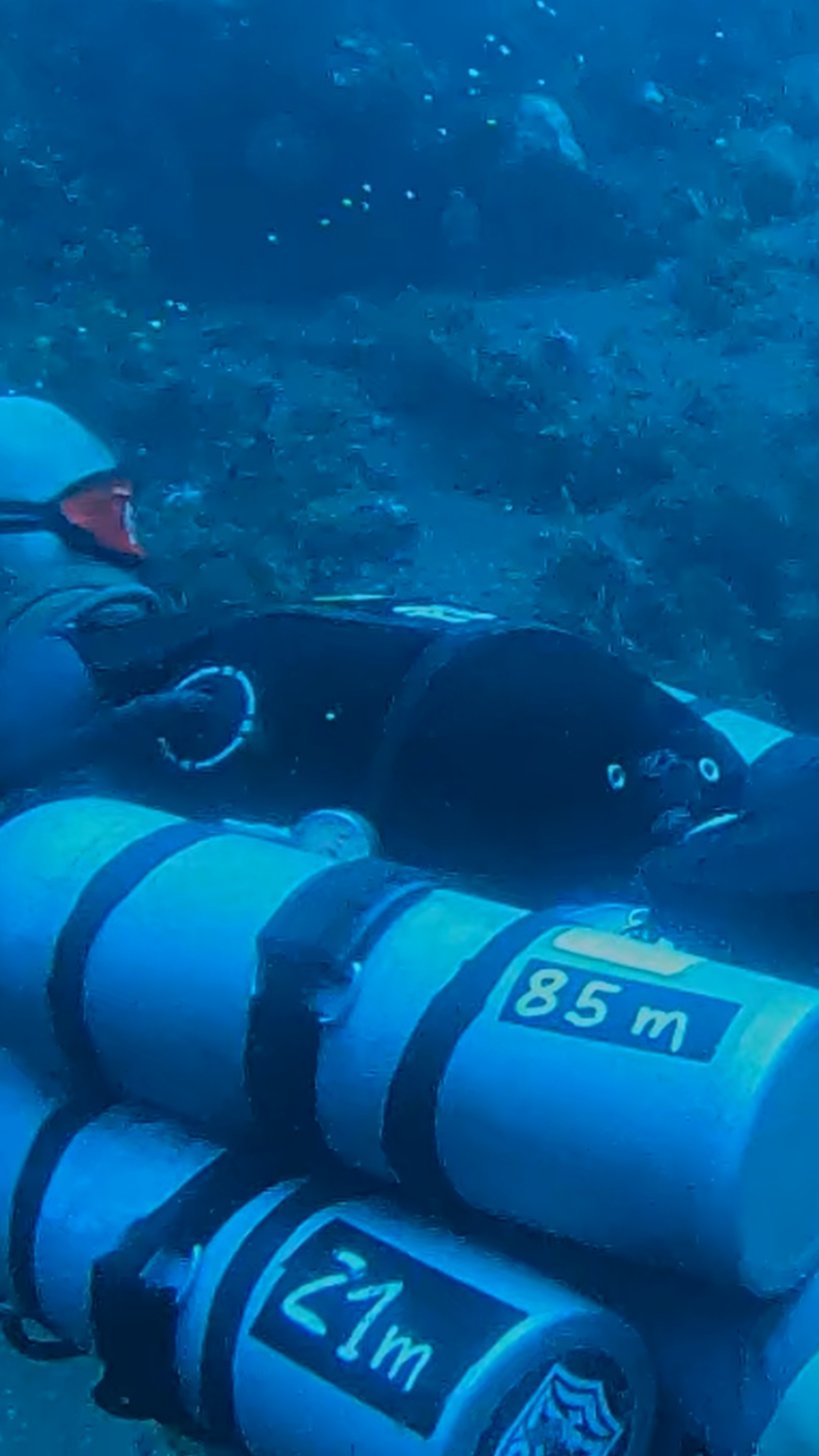 CCR trimix dives conducted by the Dive Resort Amed White Sand Divers in BALI