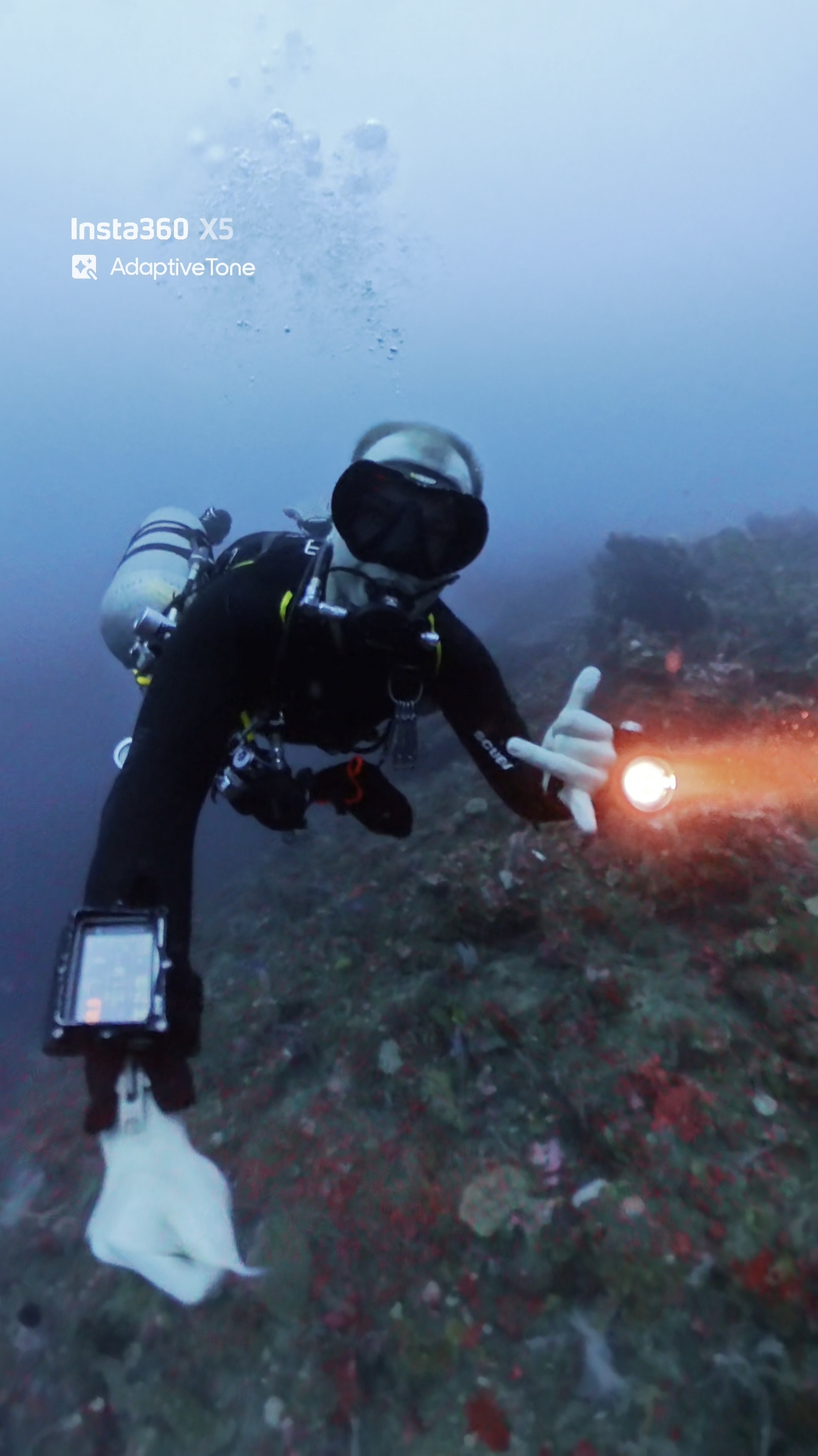 Tech dive on Pura Segara untouched reef in Tulamben BALI