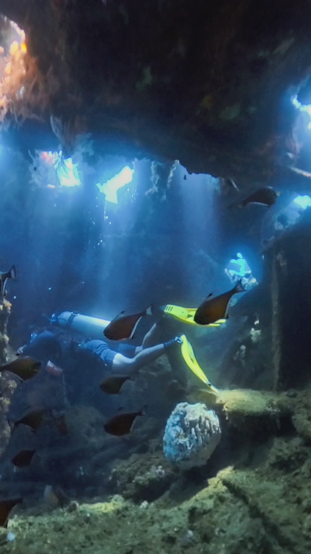 360 video of the USAT Liberty Wreck in Tulamben Bali