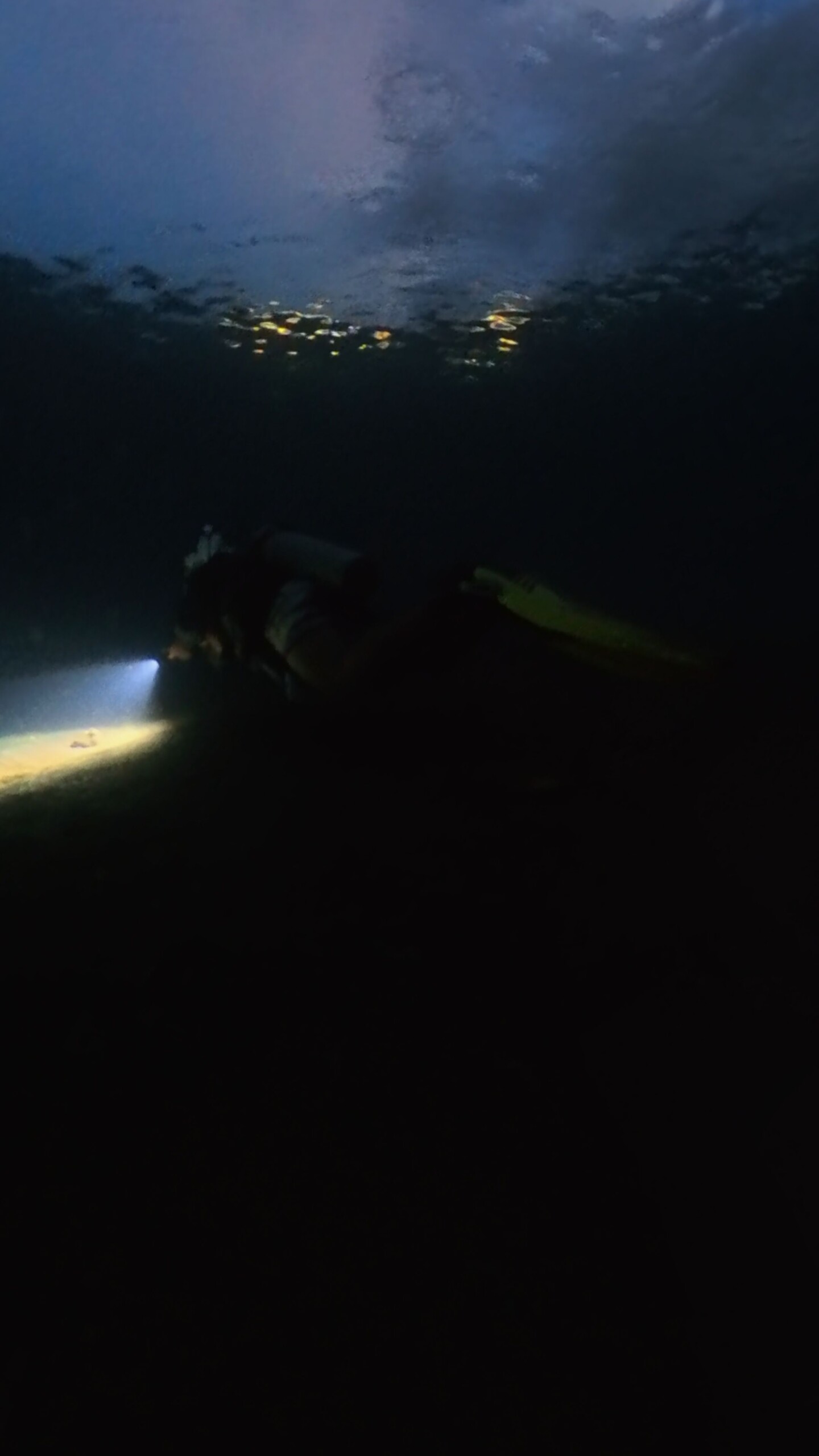 Spectacular night dive in Amed Tulamben BALI